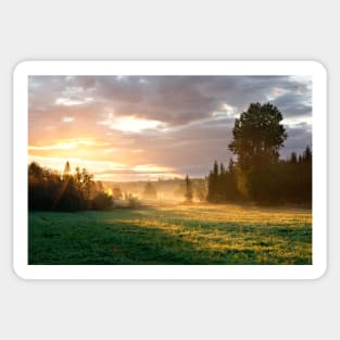 Foggy grassland and trees at sunrise Sticker